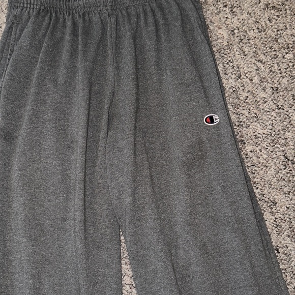 Champion Men’s Small Gray Sweatpants - Picture 3 of 5